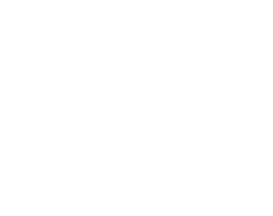 Tightline Home Inspections logo